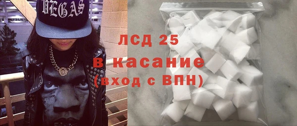 эйфоретик Гусь-Хрустальный