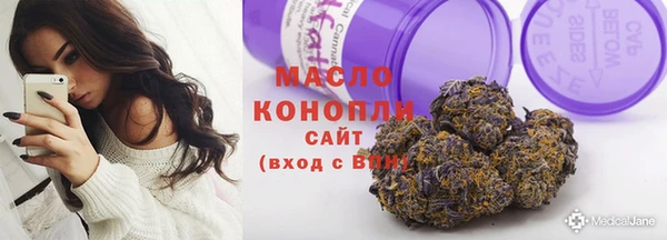 эйфоретик Гусь-Хрустальный
