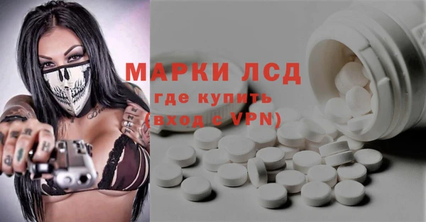 дмт Гусев