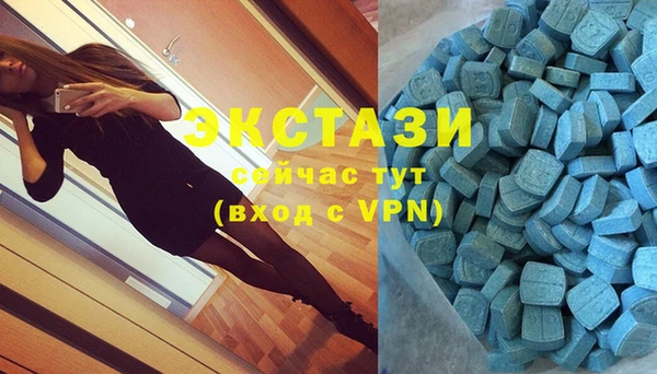 эйфоретик Гусь-Хрустальный