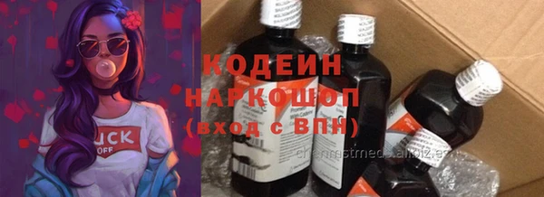 эйфоретик Гусь-Хрустальный