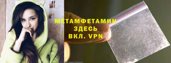 эйфоретик Гусь-Хрустальный