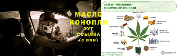 эйфоретик Гусь-Хрустальный