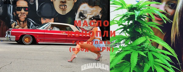 дмт Гусев