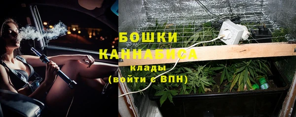 эйфоретик Гусь-Хрустальный