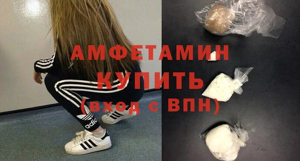 эйфоретик Гусь-Хрустальный