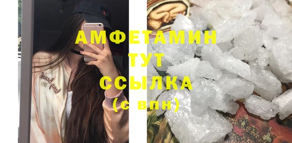 дмт Гусев