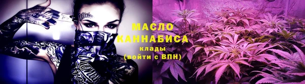эйфоретик Гусь-Хрустальный