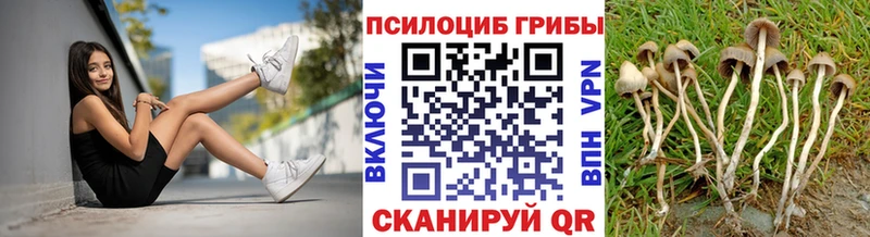 Галлюциногенные грибы ЛСД  Благовещенск 